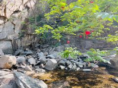 -黑龙潭风景区