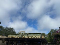 -奥兰多迪士尼动物王国乐园