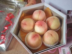 -南汇水蜜桃采摘(大团店)