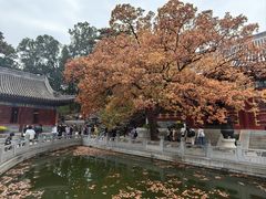 -香山公园