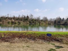 -桤木河湿地公园