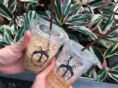 -TrueLove @ Neverland (Husky Cafe)
