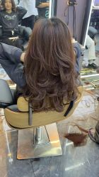 -藤野造型