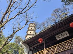 -江心屿景区