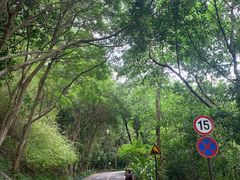 -深圳仙湖植物园