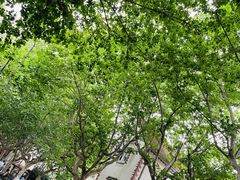 -上海市皮肤病医院(武夷路院区)