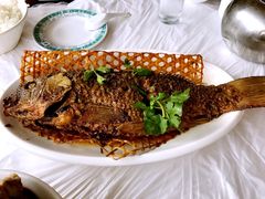 -真定郝家排骨(正定县总店)