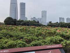 -深圳湾公园(南山区)