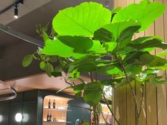 -gaga(深圳京基KKMALL店)