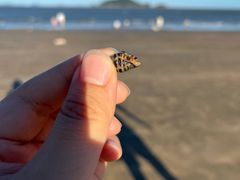 -松兰山海景大酒店·海鲜中餐厅