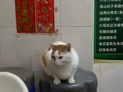 -凤城康记饭店