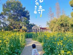 -圩墩遗址公园