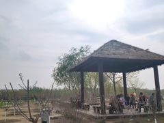 -西青郊野公园