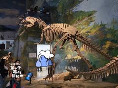 -自贡恐龙博物馆