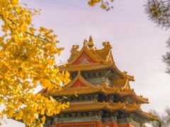 -故宫博物院(故宫)