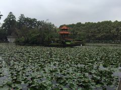 -四川大学(望江校区)