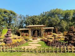 -上海共青森林公园