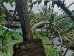 -海南槟榔谷黎苗文化旅游区