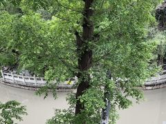 -汇龙潭