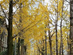 -百林公园-两江幸福广场