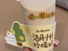 -猫的魔法密林(衣裳街店)