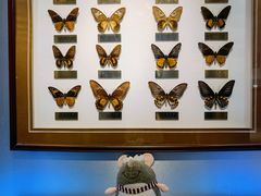 -上海昆虫博物馆