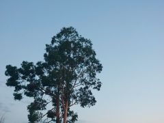 -丽江泸沽湖景区