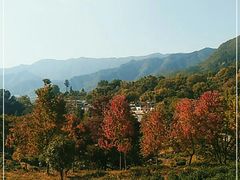 -塔川景区