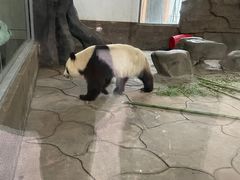 -宁波野生动物园