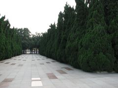 进门处的松柏-上海市龙华烈士陵园