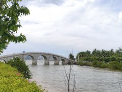 -万绿园