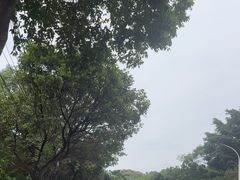 -葡萄园鱼庄(新津店)