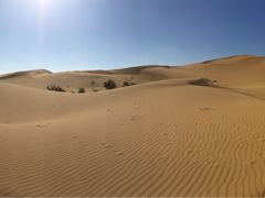 -亿利库布其七星湖沙漠生态旅游区