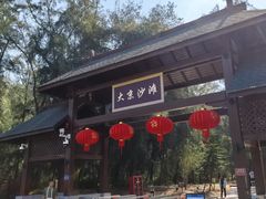 -大京沙滩