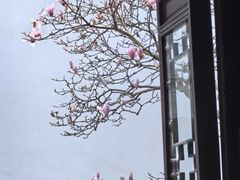 -耦园
