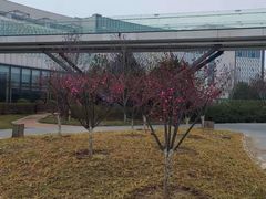 -北京园博大酒店