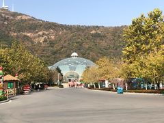 -大连森林动物园