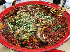 -东吴霸王兔(松青路店)