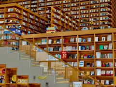 -朵云书院(滴水湖店)