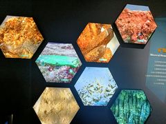 -湖南省地质博物馆