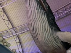 -烟台海昌鲸鲨海洋公园