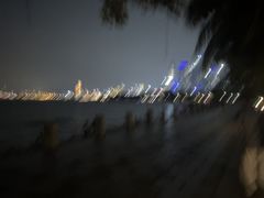 -深圳湾公园(南山区)
