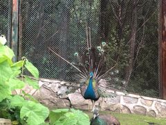 -哈尔滨北方森林动物园