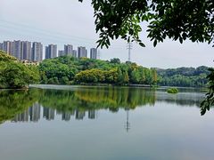 -重庆彩云湖湿地公园