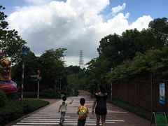 -美的鹭湖探索王国