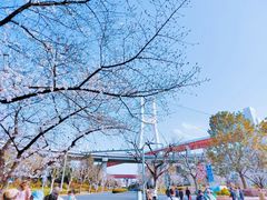 -南浦大桥长途旅游客运站