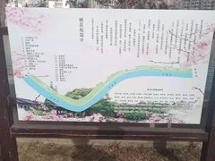 -桃花堤公园