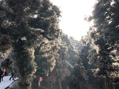 -南岳衡山风景名胜区