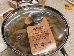 -百利鸽王(紫薇路店)