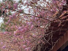 -敬亭山风景名胜区